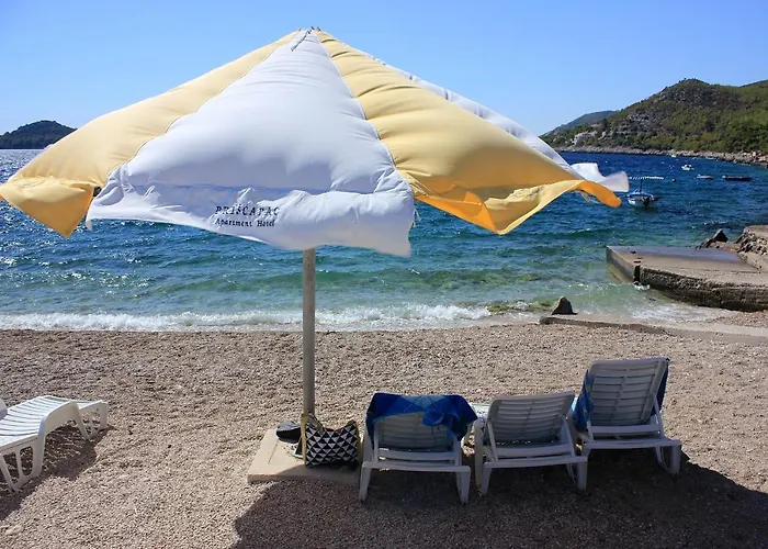 12648d * プリズバ