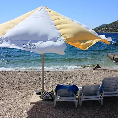 12648d * פריזבה