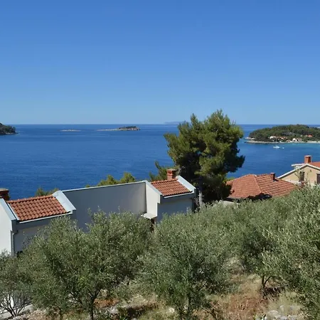 12648d Apartamento Prizba